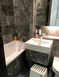 Tanglin Hill Meadows (D10), Condominium #434913901